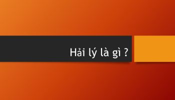 1 Mẫu Bằng Bao Nhiêu M2 – Hecta – Sào (Sông)?