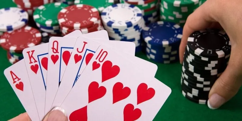 Khám phá tất cả các quy tắc của Sam Loc